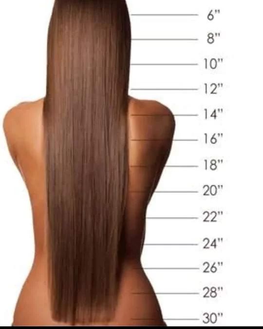 hair length chart