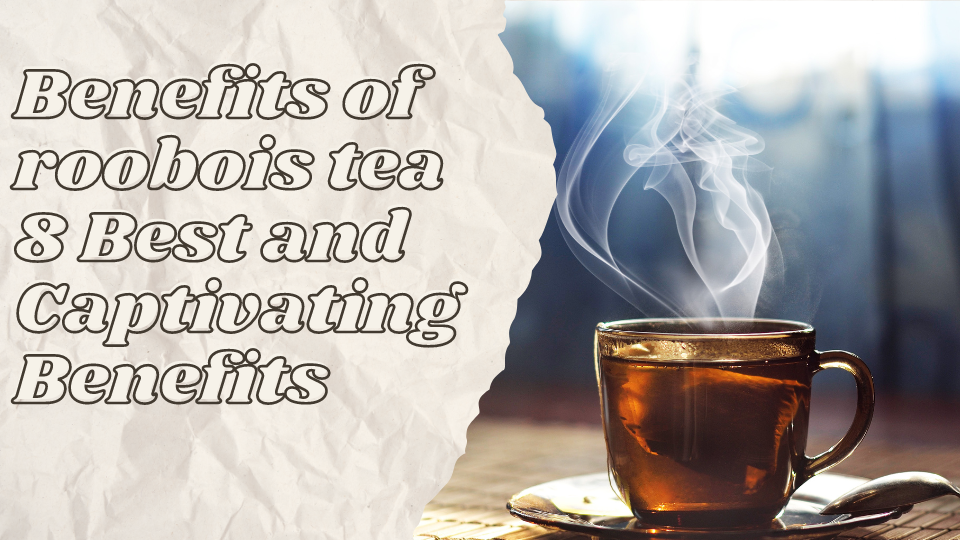 benefits of roobois tea
